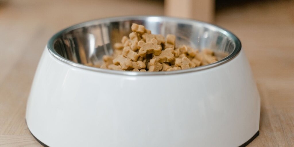 Pet Products CRO shopify.