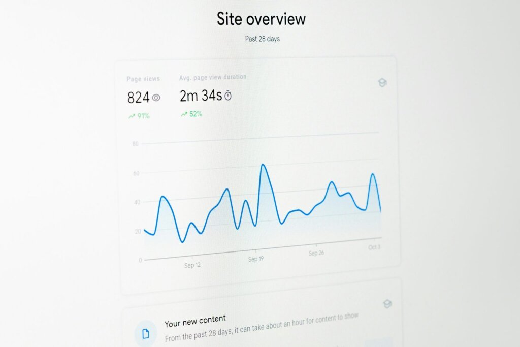 Website traffic acquisition.